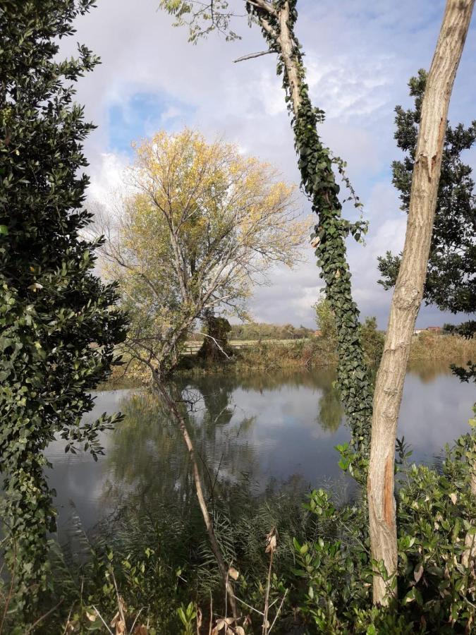 Tenuta Crescentini-Vallemura ,Appartamenti Con Entrata Indipendente Сан-Дона-ді-П'яве Екстер'єр фото