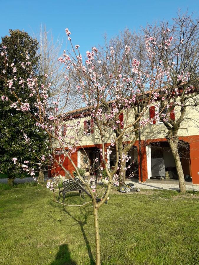 Tenuta Crescentini-Vallemura ,Appartamenti Con Entrata Indipendente Сан-Дона-ді-П'яве Екстер'єр фото