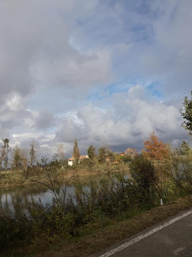 Tenuta Crescentini-Vallemura ,Appartamenti Con Entrata Indipendente Сан-Дона-ді-П'яве Екстер'єр фото