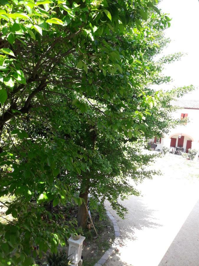 Tenuta Crescentini-Vallemura ,Appartamenti Con Entrata Indipendente Сан-Дона-ді-П'яве Екстер'єр фото