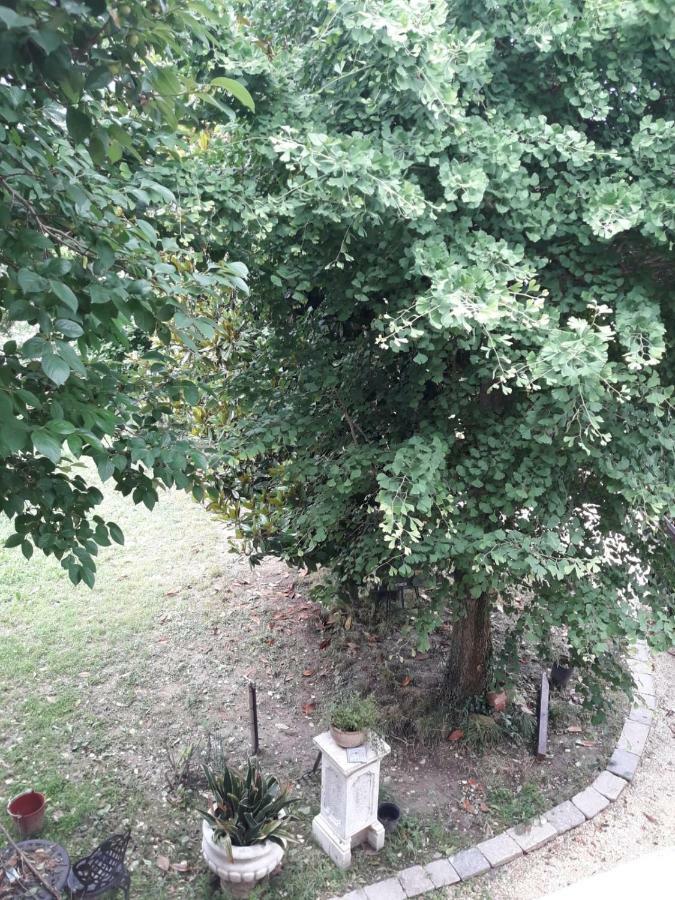 Tenuta Crescentini-Vallemura ,Appartamenti Con Entrata Indipendente Сан-Дона-ді-П'яве Екстер'єр фото