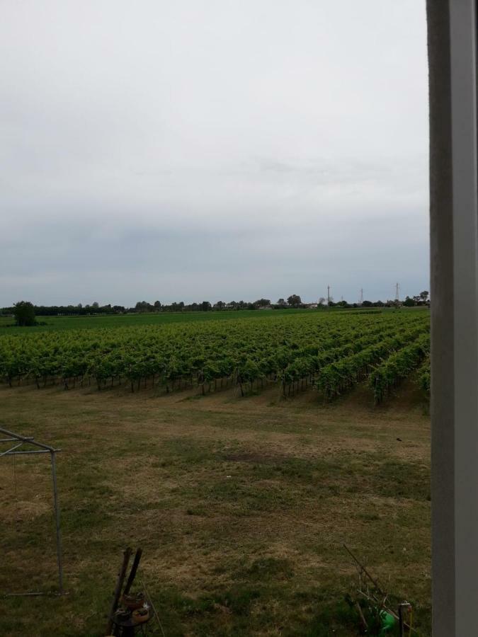 Tenuta Crescentini-Vallemura ,Appartamenti Con Entrata Indipendente Сан-Дона-ді-П'яве Екстер'єр фото
