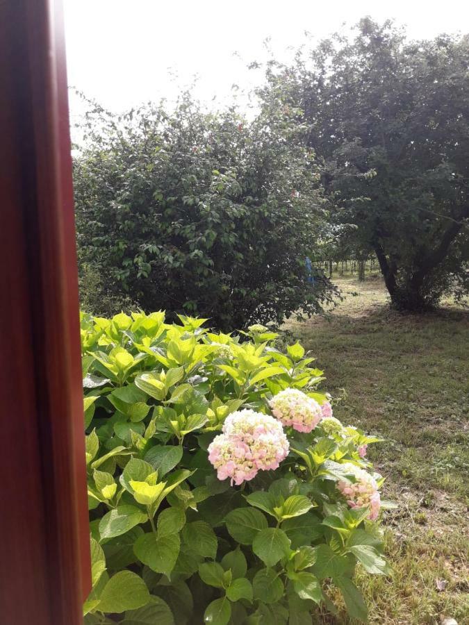 Tenuta Crescentini-Vallemura ,Appartamenti Con Entrata Indipendente Сан-Дона-ді-П'яве Екстер'єр фото