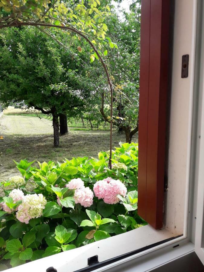 Tenuta Crescentini-Vallemura ,Appartamenti Con Entrata Indipendente Сан-Дона-ді-П'яве Екстер'єр фото