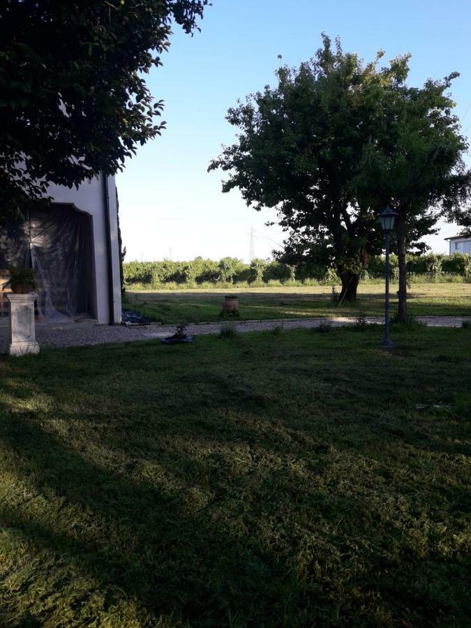 Tenuta Crescentini-Vallemura ,Appartamenti Con Entrata Indipendente Сан-Дона-ді-П'яве Екстер'єр фото