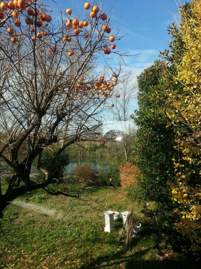 Tenuta Crescentini-Vallemura ,Appartamenti Con Entrata Indipendente Сан-Дона-ді-П'яве Екстер'єр фото