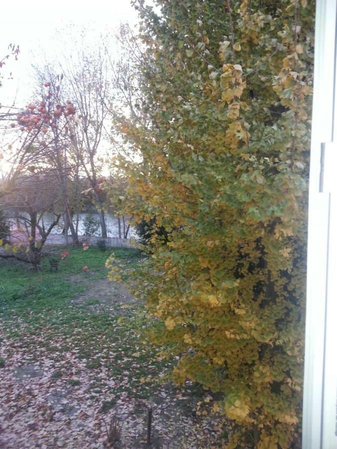 Tenuta Crescentini-Vallemura ,Appartamenti Con Entrata Indipendente Сан-Дона-ді-П'яве Екстер'єр фото