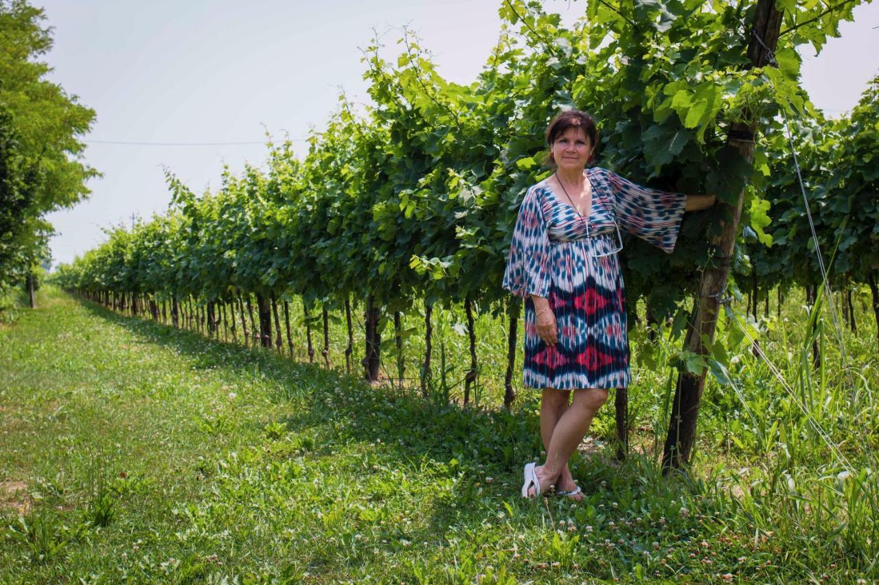Tenuta Crescentini-Vallemura ,Appartamenti Con Entrata Indipendente Сан-Дона-ді-П'яве Екстер'єр фото